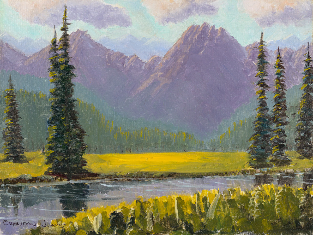 Sawtooth Meadow 08"x10"