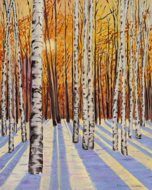 Winter Birches 08"x10"