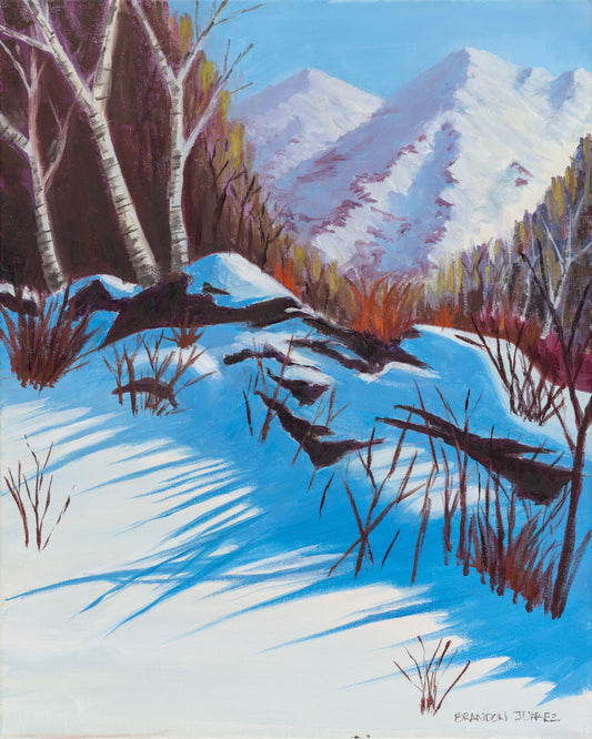 Winter Shadows 16"x20"